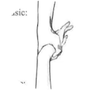 Silvana Mudir profile picture